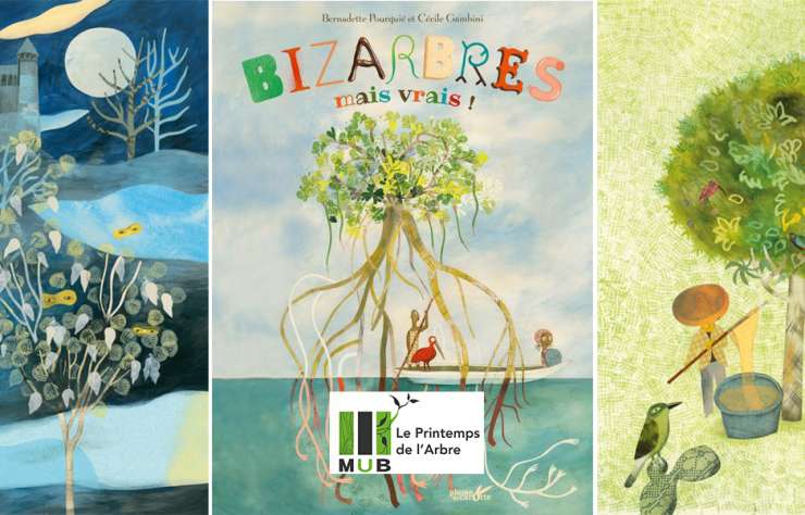 Bizarbres mais vrais !